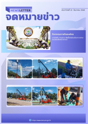 นางวรรณภา แก้วพรหม นายกเทศมนตรีตำบลตาลสุม  มอบหมายให้ กองช่าง ติดไฟประดับเกาะกลางถนน หน้าอำเภอตาลสุม